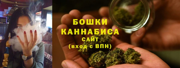 сатива Кодинск