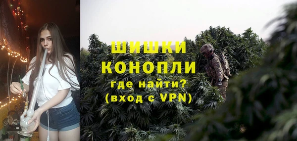 сатива Кодинск