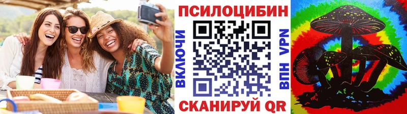 Галлюциногенные грибы Psilocybe  Купить где  Зима 